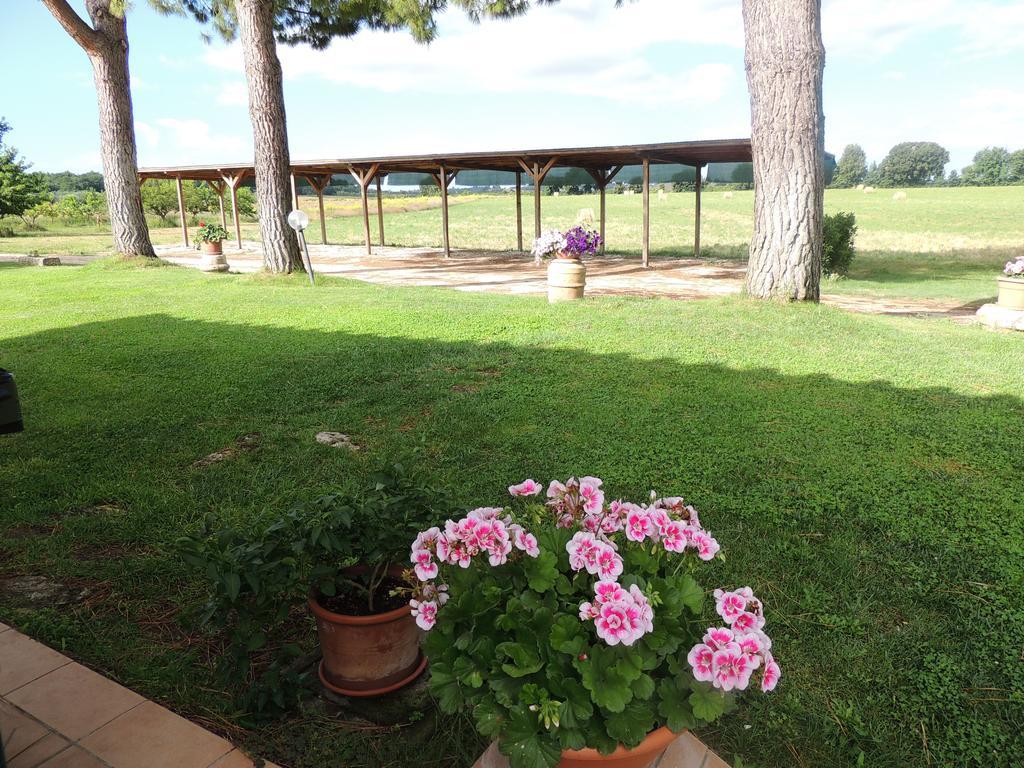 Agriturismo Valle Martina Saturnia Exteriör bild